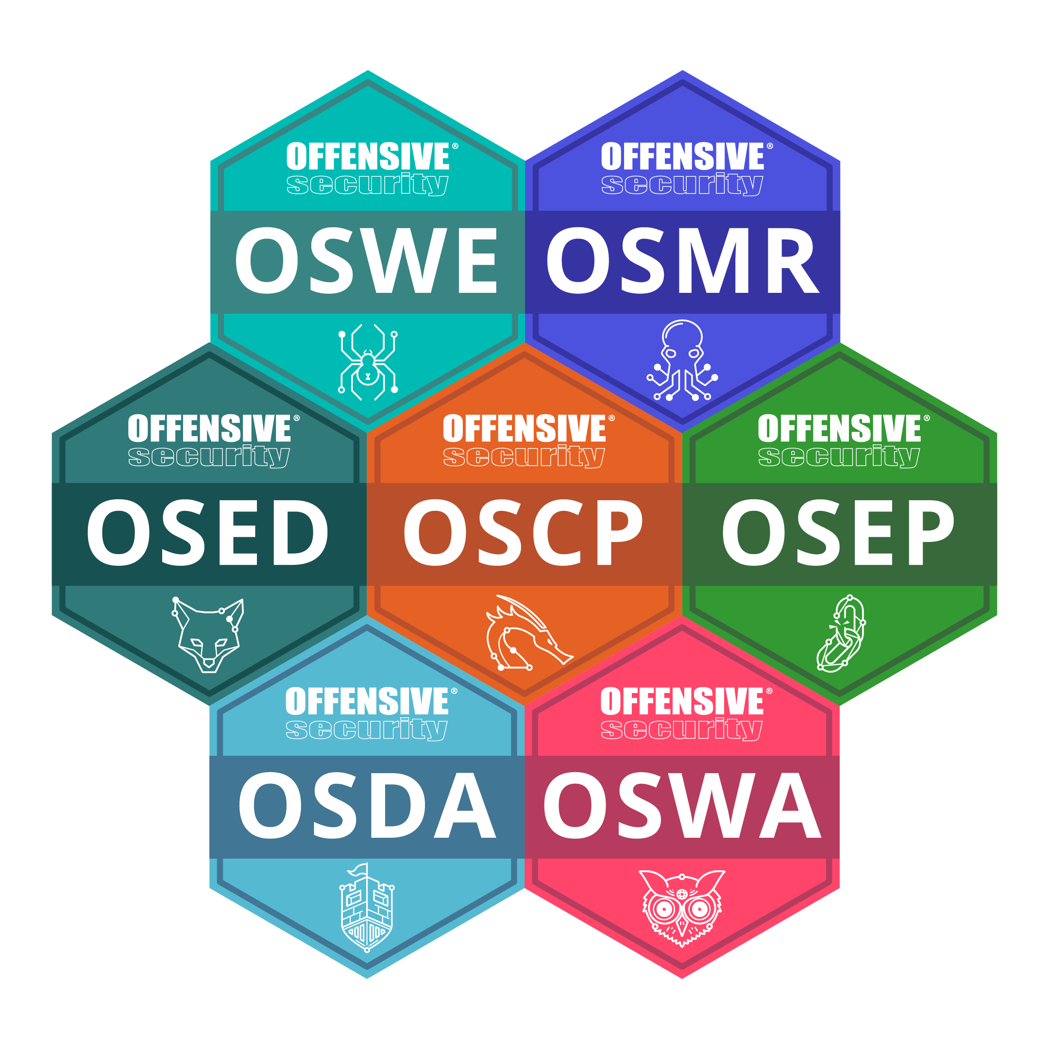 offsecleaderboard
